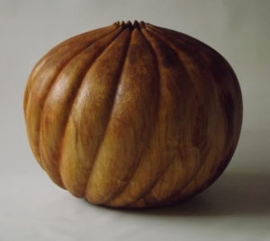 poplar pumpkin